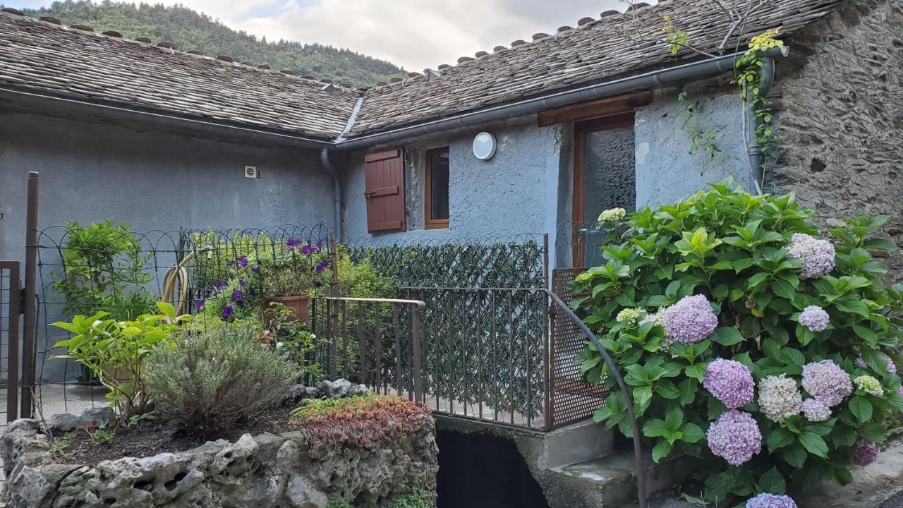 Gite De Combelebouze En Cevennes - Cosy, Confort Et Climatise - 3 Etoiles Saint-Privat-de-Vallongue Kültér fotó