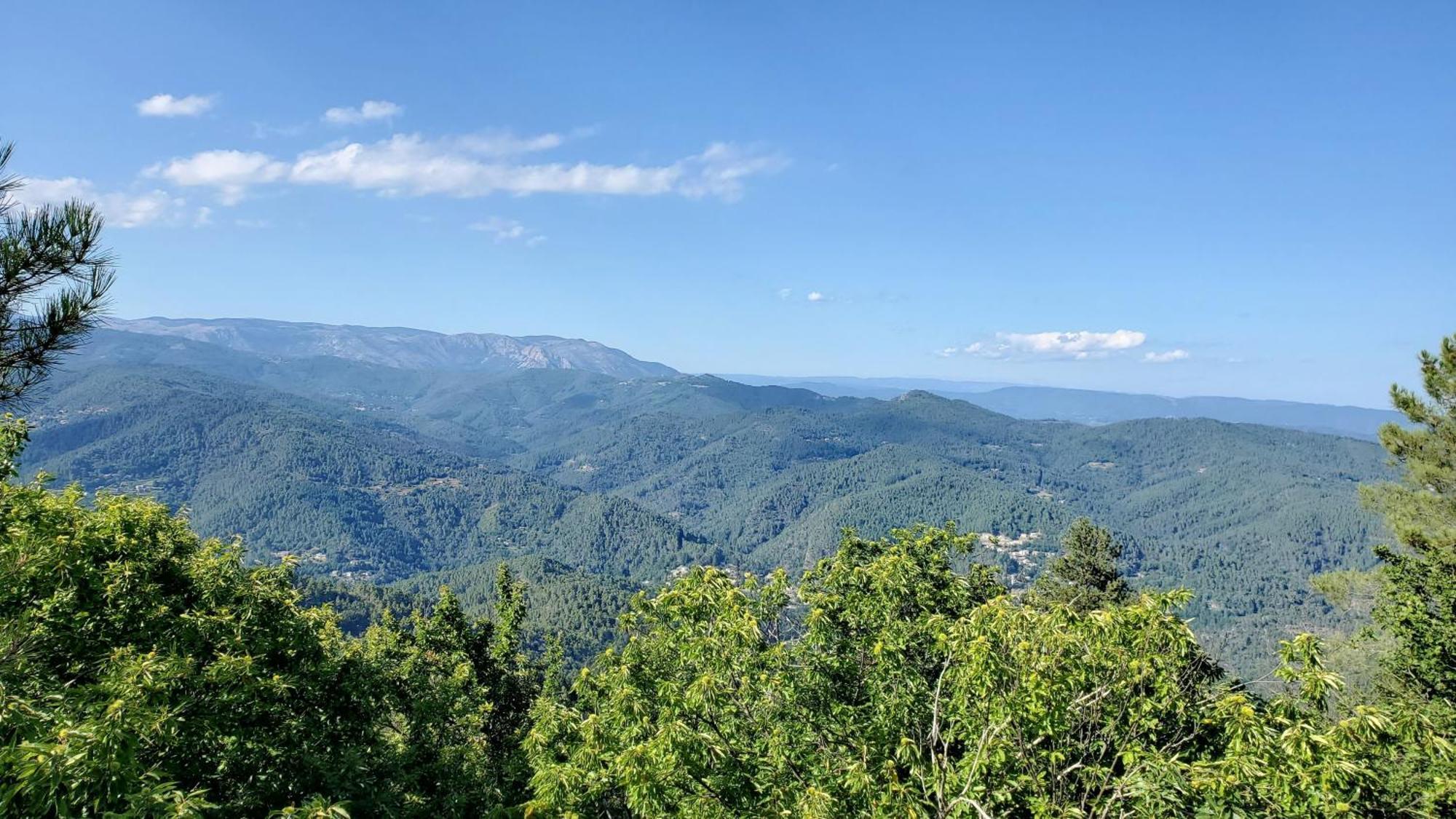 Gite De Combelebouze En Cevennes - Cosy, Confort Et Climatise - 3 Etoiles Saint-Privat-de-Vallongue Kültér fotó