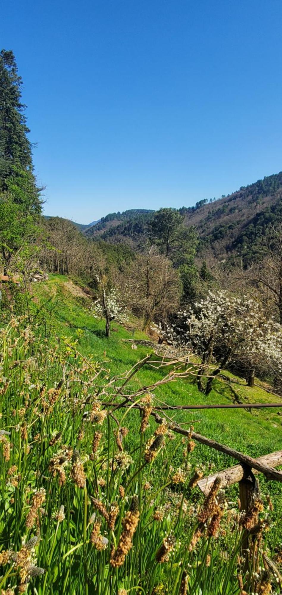 Gite De Combelebouze En Cevennes - Cosy, Confort Et Climatise - 3 Etoiles Saint-Privat-de-Vallongue Kültér fotó